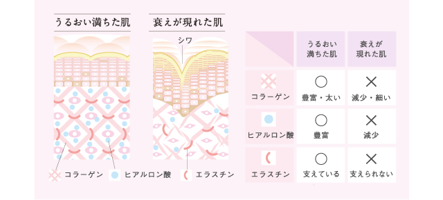 うるおい満ちた肌