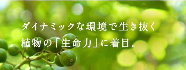 ダイナミックな環境で生き抜く植物の「生命力」に着目。
