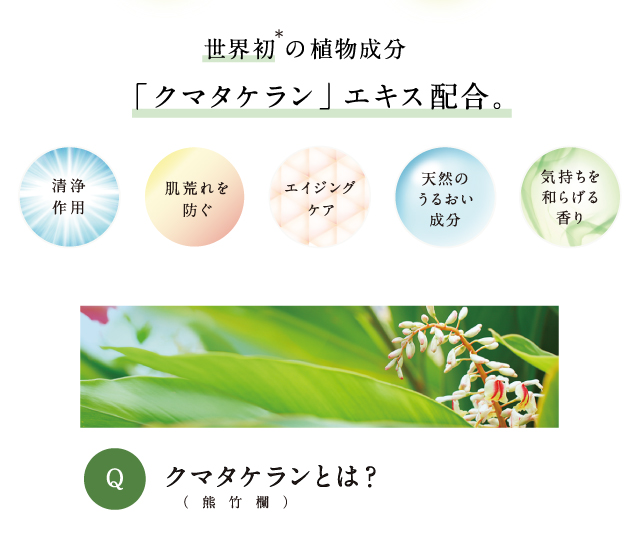 世界初の植物成分「クマタケラン」エキス配合。