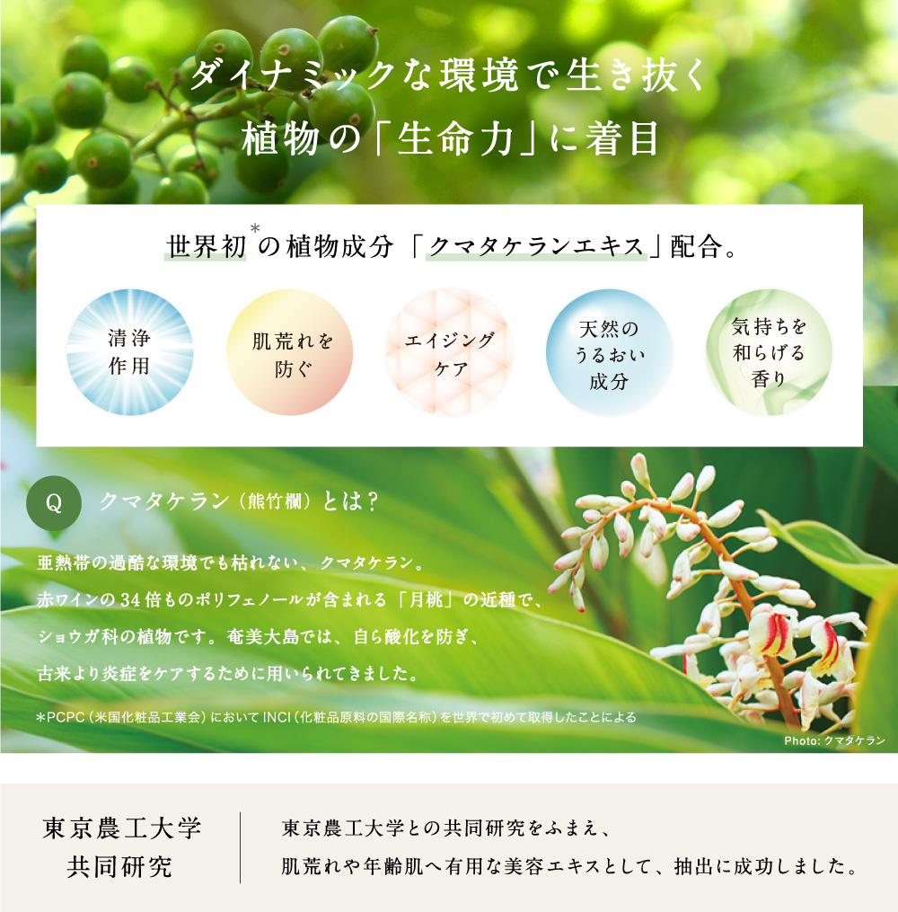ダイナミックな環境に生き抜く植物の「生命力」に着目
