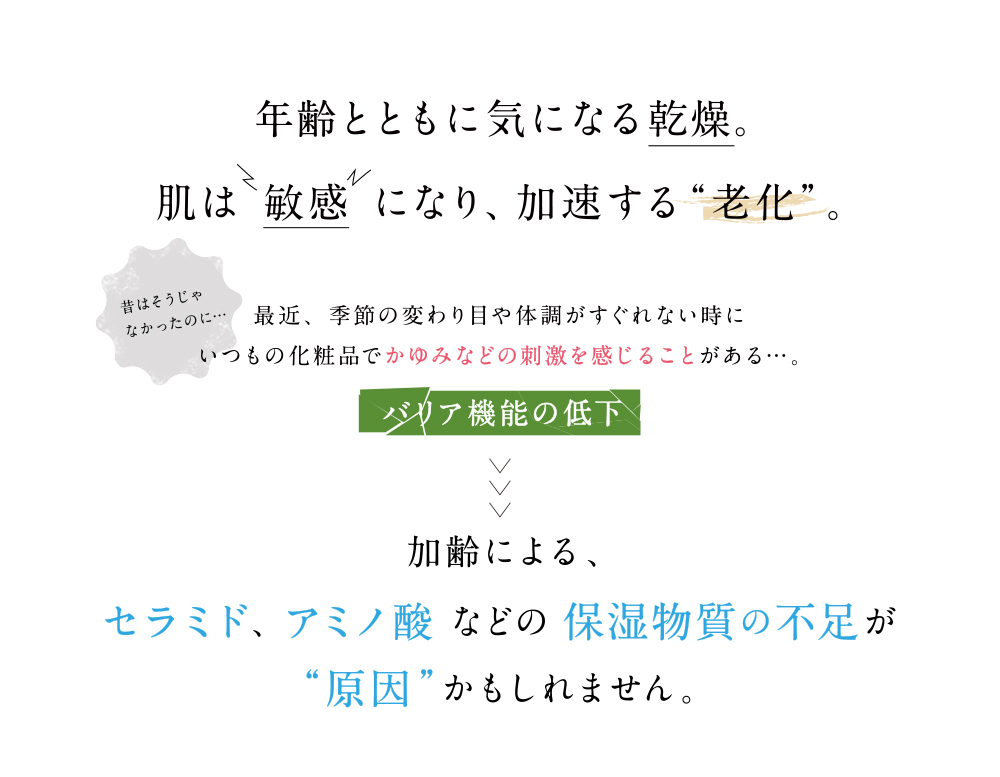 乾燥で肌は敏感になり、加速する老化