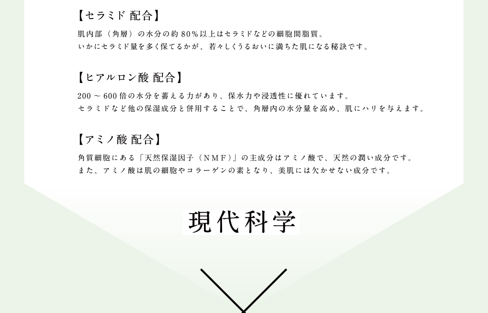 セラミド配合 ヒアルロン酸配合 アミノ酸配合