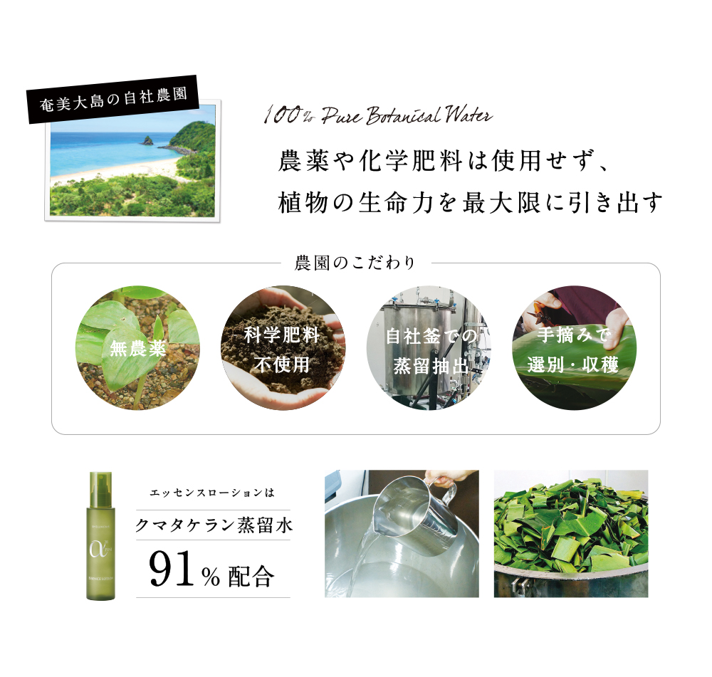 奄美大島の自社農園